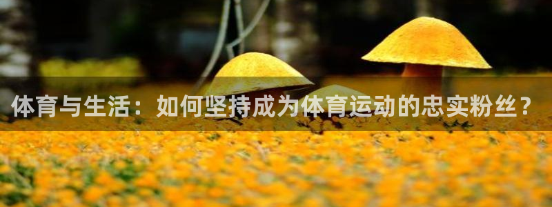 沐鸣2首页登录