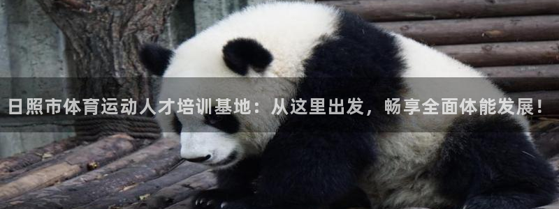 沐鸣网址注册