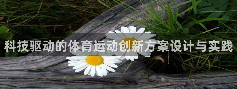 沐鸣3官网登录