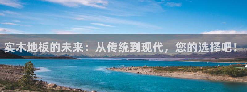 沐鸣招商