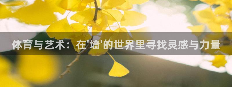 沐鸣2平台官网登录