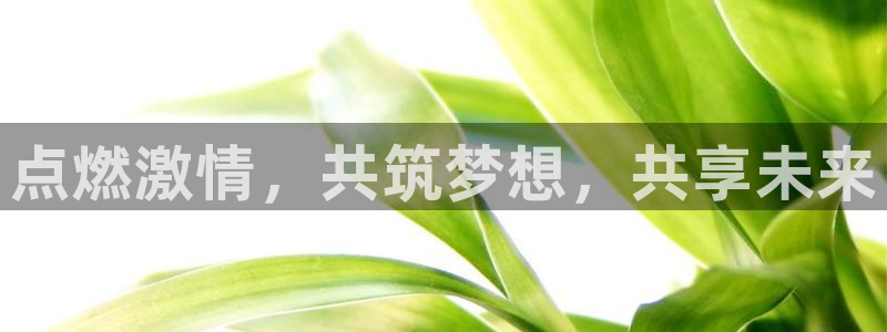 沐鸣2登录
